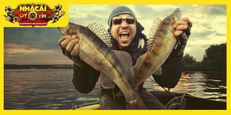 Giấc mơ bắt cá bằng tay báo hiệu thành công và tài lộc đang chờ bạn